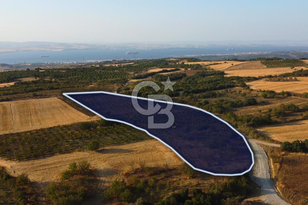 Çanakkale Lapseki İlyasköy Boğaz ve Köprü Manzara 14.276m² Tarla