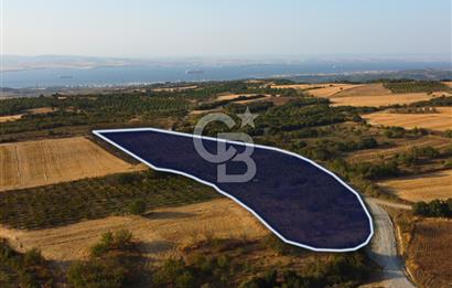 Çanakkale Lapseki İlyasköy Boğaz ve Köprü Manzara 14.276m² Tarla
