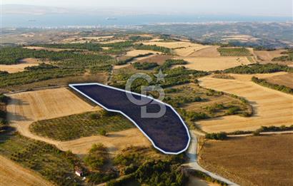 Çanakkale Lapseki İlyasköy Boğaz ve Köprü Manzara 14.276m² Tarla