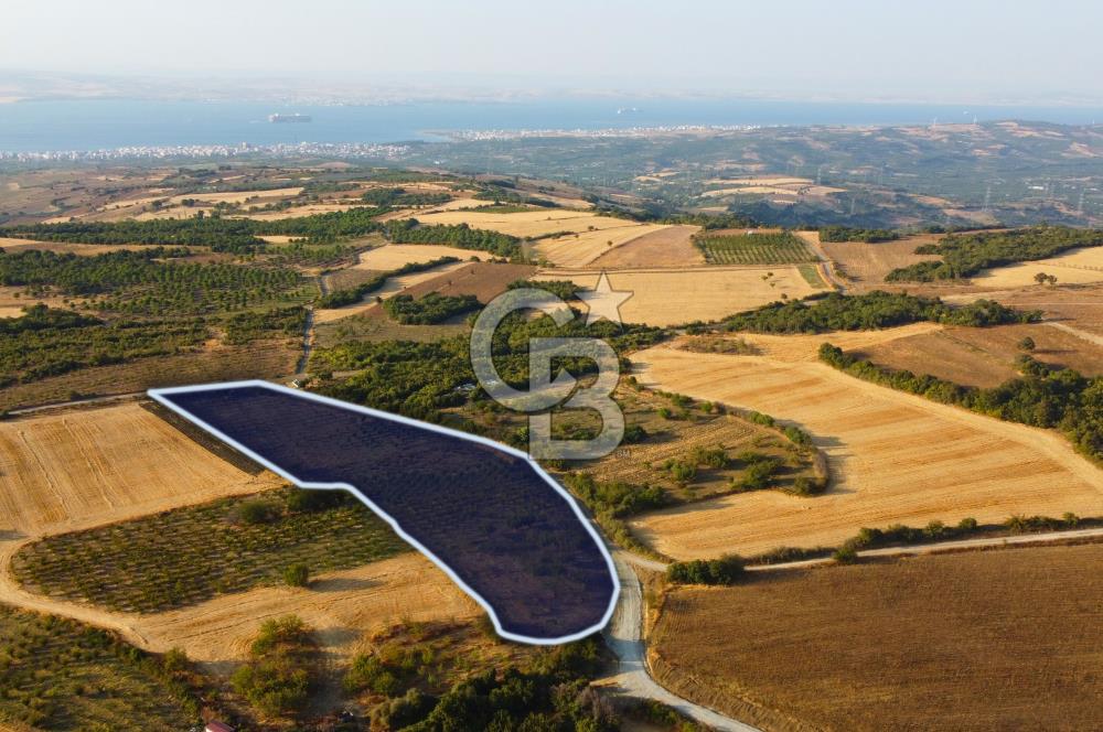 Çanakkale Lapseki İlyasköy Boğaz ve Köprü Manzara 14.276m² Tarla