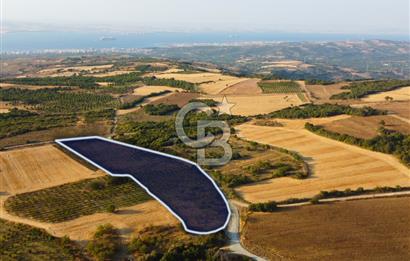 Çanakkale Lapseki İlyasköy Boğaz ve Köprü Manzara 14.276m² Tarla