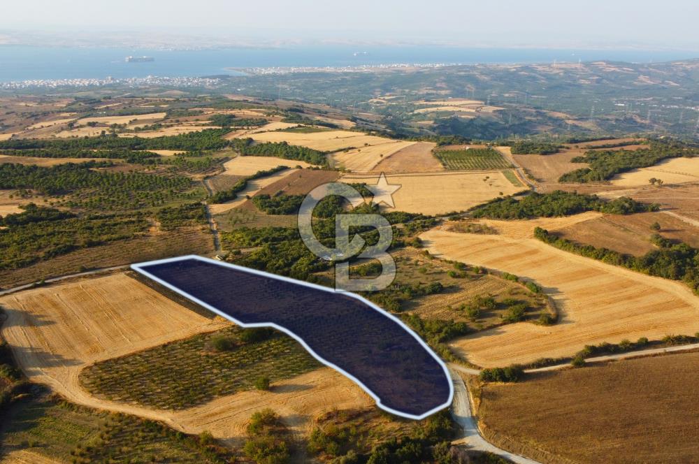 Çanakkale Lapseki İlyasköy Boğaz ve Köprü Manzara 14.276m² Tarla