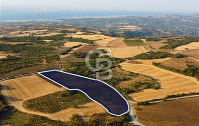 Çanakkale Lapseki İlyasköy Boğaz ve Köprü Manzara 14.276m² Tarla