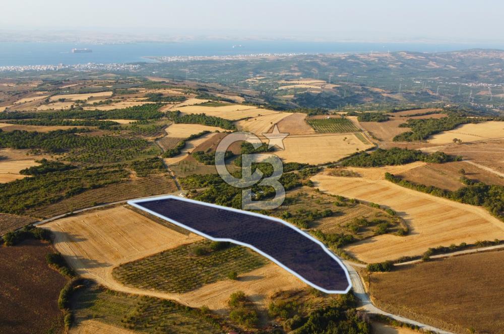 Çanakkale Lapseki İlyasköy Boğaz ve Köprü Manzara 14.276m² Tarla