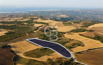 Çanakkale Lapseki İlyasköy Boğaz ve Köprü Manzara 14.276m² Tarla