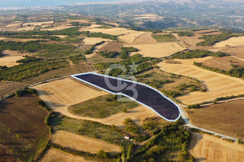 Çanakkale Lapseki İlyasköy Boğaz ve Köprü Manzara 14.276m² Tarla
