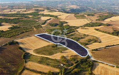 Çanakkale Lapseki İlyasköy Boğaz ve Köprü Manzara 14.276m² Tarla