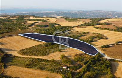 Çanakkale Lapseki İlyasköy Boğaz ve Köprü Manzara 14.276m² Tarla