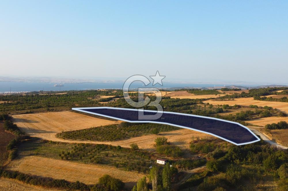 Çanakkale Lapseki İlyasköy Boğaz ve Köprü Manzara 14.276m² Tarla