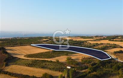 Çanakkale Lapseki İlyasköy Boğaz ve Köprü Manzara 14.276m² Tarla