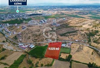 ÇANAKKALE EZİNE CUMHURİYET MAHALLESİNDE SATILIK TARLA