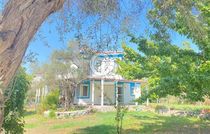 Urla Kuşçular'da Yeşiloba Sitesinde Kiralık 3+1  içi yenilenmiş beyaz eşya dahil, şömineli  müstakil villa 