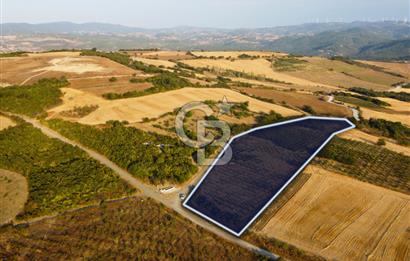 Çanakkale Lapseki İlyasköy Boğaz ve Köprü Manzara 14.276m² Tarla