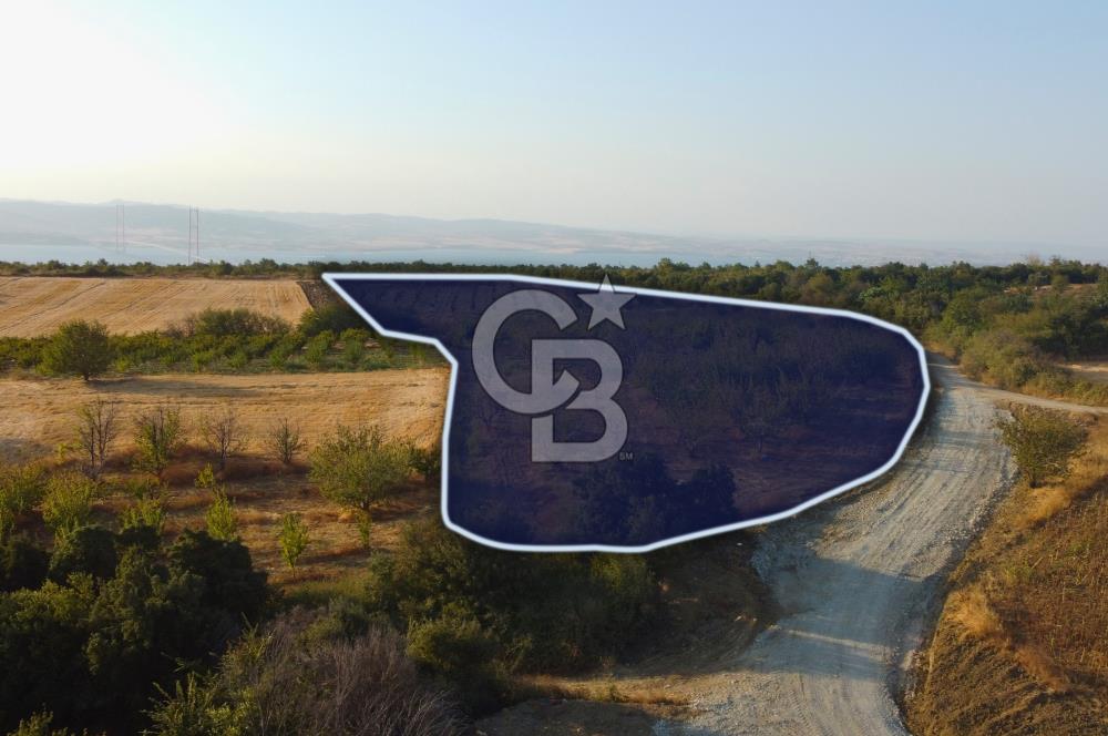 Çanakkale Lapseki İlyasköy Boğaz ve Köprü Manzara 14.276m² Tarla