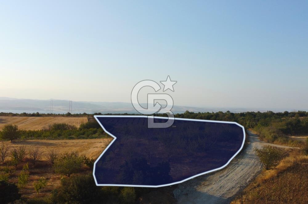 Çanakkale Lapseki İlyasköy Boğaz ve Köprü Manzara 14.276m² Tarla