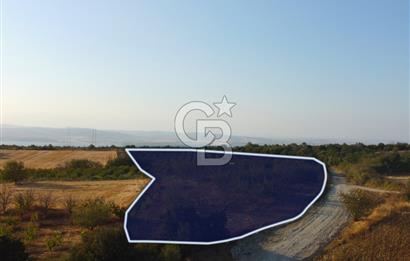 Çanakkale Lapseki İlyasköy Boğaz ve Köprü Manzara 14.276m² Tarla