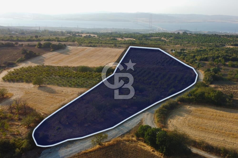 Çanakkale Lapseki İlyasköy Boğaz ve Köprü Manzara 14.276m² Tarla