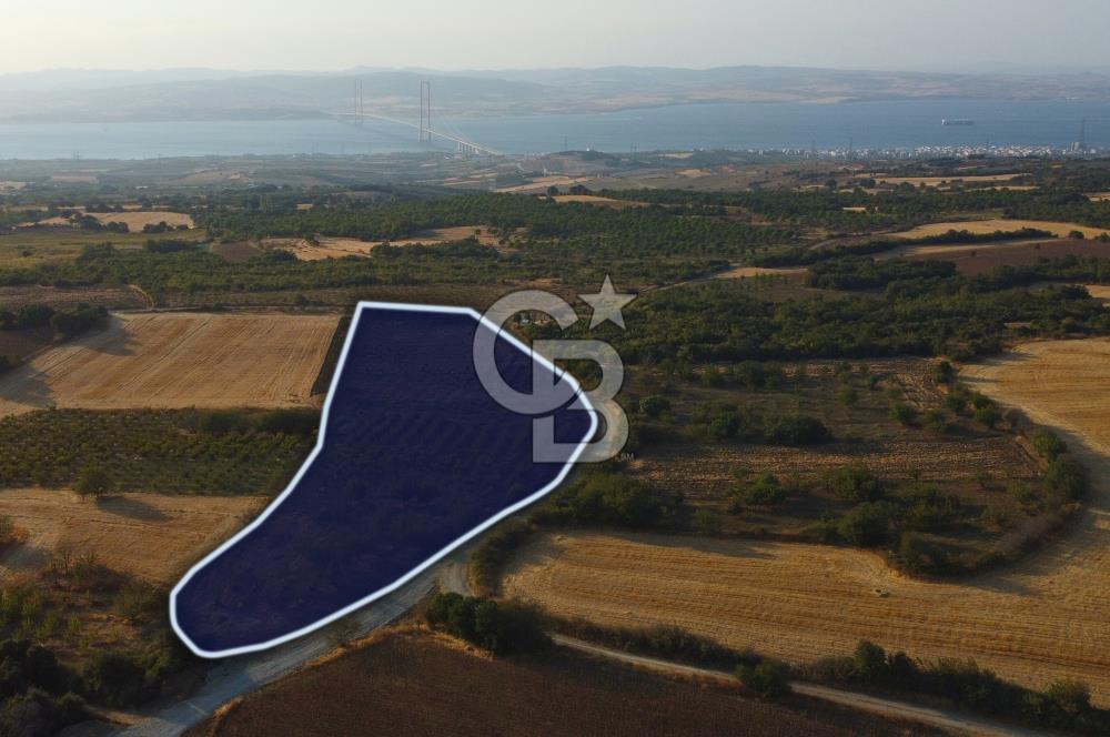 Çanakkale Lapseki İlyasköy Boğaz ve Köprü Manzara 14.276m² Tarla