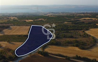 Çanakkale Lapseki İlyasköy Boğaz ve Köprü Manzara 14.276m² Tarla