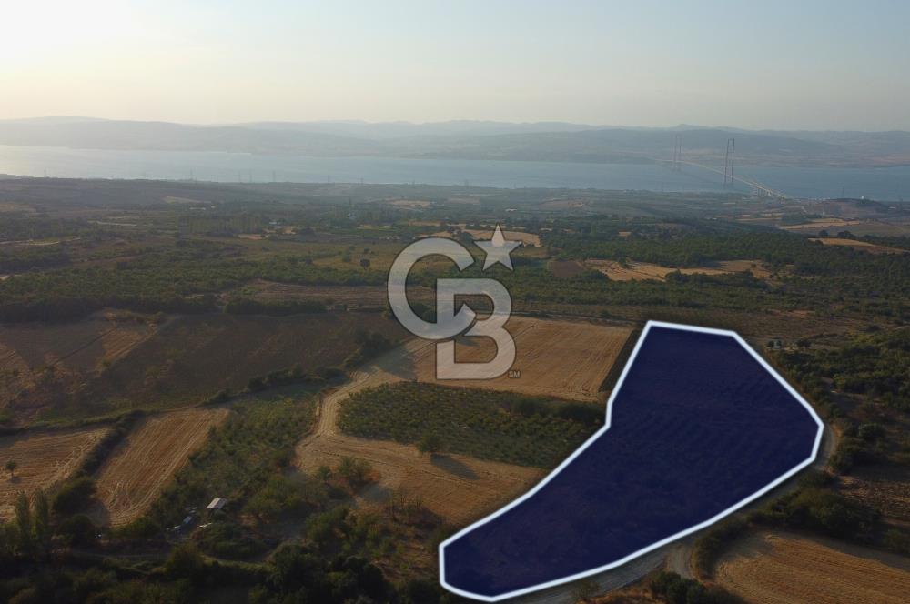 Çanakkale Lapseki İlyasköy Boğaz ve Köprü Manzara 14.276m² Tarla