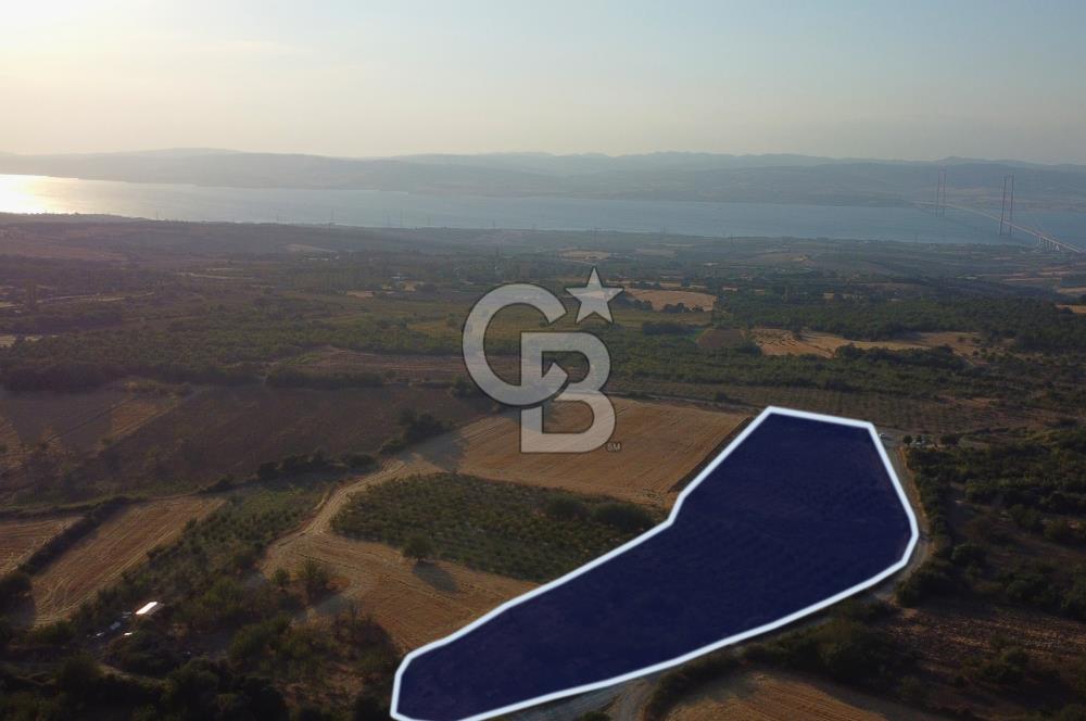 Çanakkale Lapseki İlyasköy Boğaz ve Köprü Manzara 14.276m² Tarla