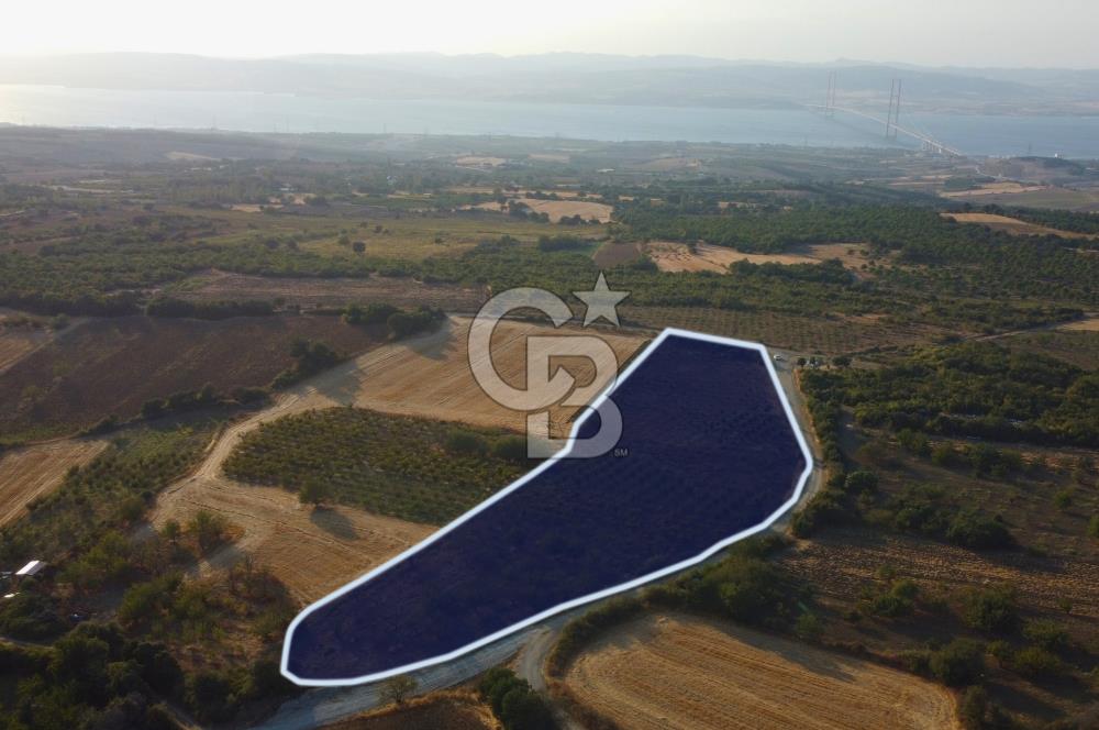 Çanakkale Lapseki İlyasköy Boğaz ve Köprü Manzara 14.276m² Tarla