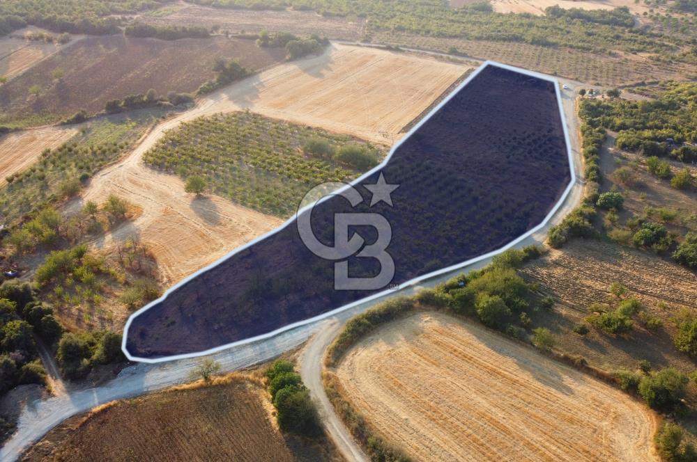 Çanakkale Lapseki İlyasköy Boğaz ve Köprü Manzara 14.276m² Tarla