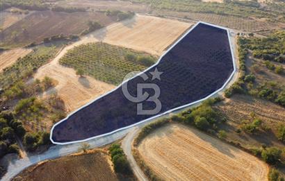 Çanakkale Lapseki İlyasköy Boğaz ve Köprü Manzara 14.276m² Tarla