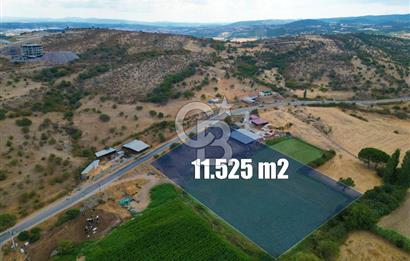ÇANAKKALE EZİNE CUMHURİYET MAHALLESİNDE SATILIK TARLA