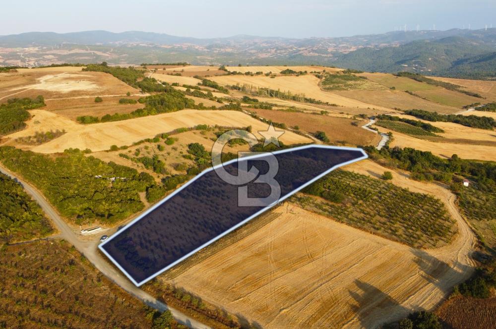 Çanakkale Lapseki İlyasköy Boğaz ve Köprü Manzara 14.276m² Tarla