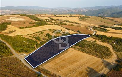 Çanakkale Lapseki İlyasköy Boğaz ve Köprü Manzara 14.276m² Tarla