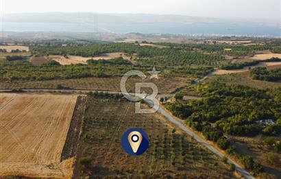 Çanakkale Lapseki İlyasköy Boğaz ve Köprü Manzara 14.276m² Tarla