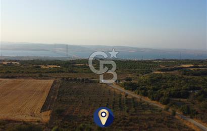 Çanakkale Lapseki İlyasköy Boğaz ve Köprü Manzara 14.276m² Tarla