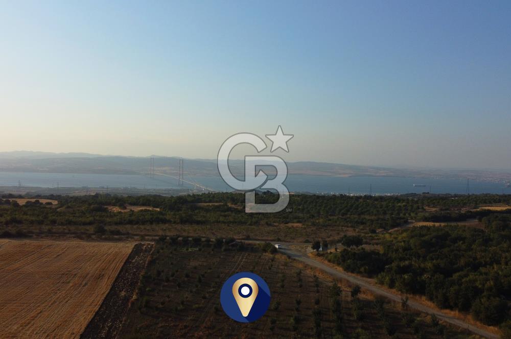 Çanakkale Lapseki İlyasköy Boğaz ve Köprü Manzara 14.276m² Tarla