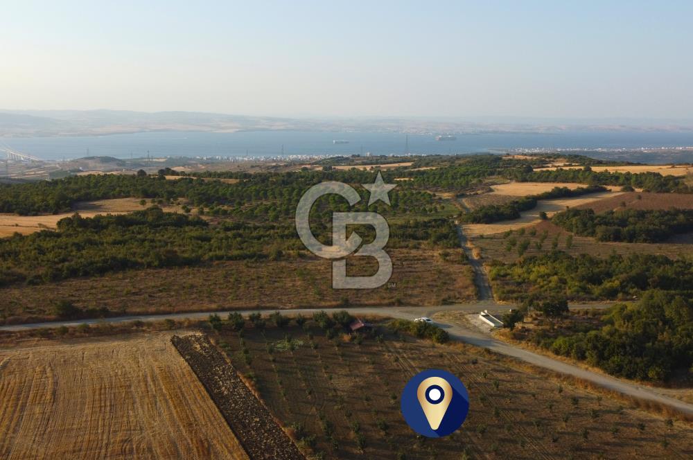 Çanakkale Lapseki İlyasköy Boğaz ve Köprü Manzara 14.276m² Tarla