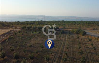 Çanakkale Lapseki İlyasköy Boğaz ve Köprü Manzara 14.276m² Tarla