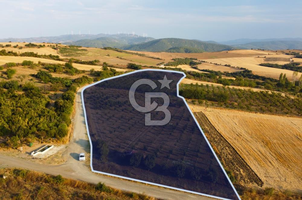 Çanakkale Lapseki İlyasköy Boğaz ve Köprü Manzara 14.276m² Tarla
