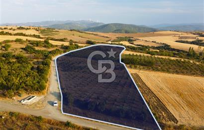 Çanakkale Lapseki İlyasköy Boğaz ve Köprü Manzara 14.276m² Tarla