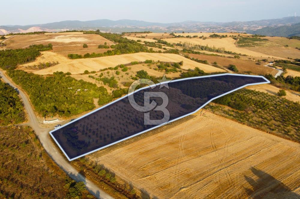 Çanakkale Lapseki İlyasköy Boğaz ve Köprü Manzara 14.276m² Tarla