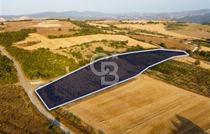 Çanakkale Lapseki İlyasköy Boğaz ve Köprü Manzara 14.276m² Tarla