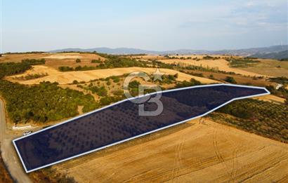 Çanakkale Lapseki İlyasköy Boğaz ve Köprü Manzara 14.276m² Tarla