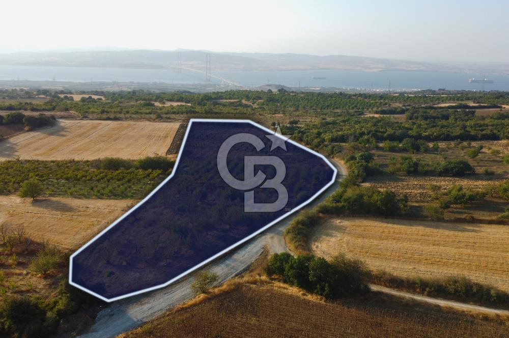 Çanakkale Lapseki İlyasköy Boğaz ve Köprü Manzara 14.276m² Tarla