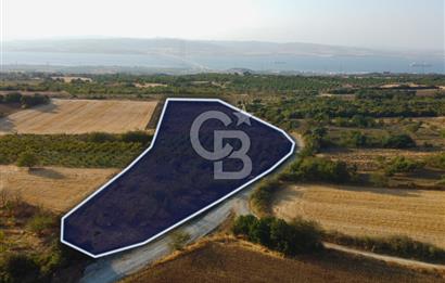 Çanakkale Lapseki İlyasköy Boğaz ve Köprü Manzara 14.276m² Tarla