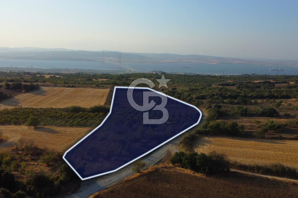 Çanakkale Lapseki İlyasköy Boğaz ve Köprü Manzara 14.276m² Tarla