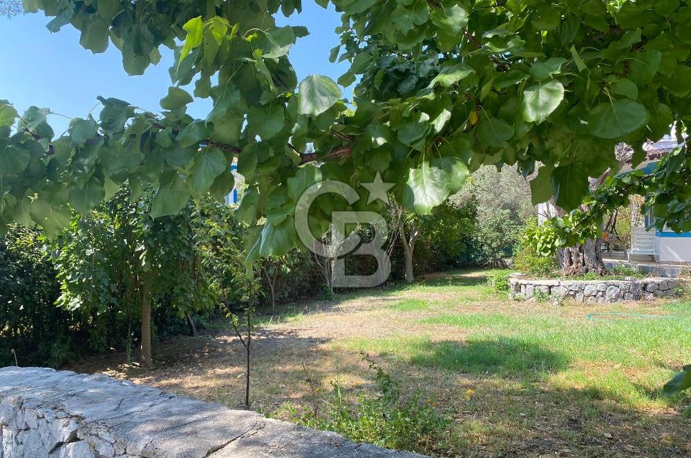 Urla Kuşçular'da Yeşiloba Sitesinde Kiralık 3+1  içi yenilenmiş beyaz eşya dahil, şömineli  müstakil villa 