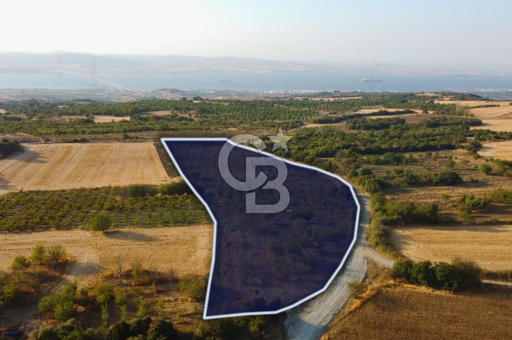Çanakkale Lapseki İlyasköy Boğaz ve Köprü Manzara 14.276m² Tarla