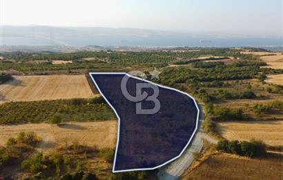 Çanakkale Lapseki İlyasköy Boğaz ve Köprü Manzara 14.276m² Tarla
