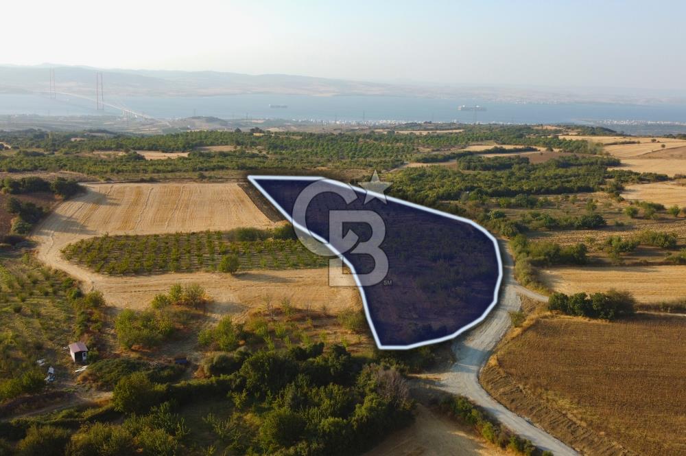 Çanakkale Lapseki İlyasköy Boğaz ve Köprü Manzara 14.276m² Tarla