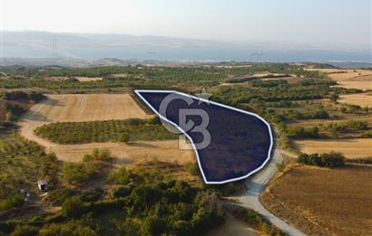 Çanakkale Lapseki İlyasköy Boğaz ve Köprü Manzara 14.276m² Tarla
