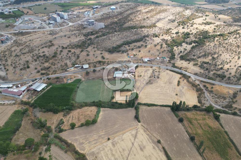 ÇANAKKALE EZİNE CUMHURİYET MAHALLESİNDE SATILIK TARLA